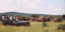 Mateya Conservation Day