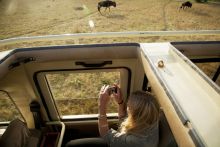  at Nomad Serengeti Safari Camp- Ndutu, Serengeti National Park, Tanzania