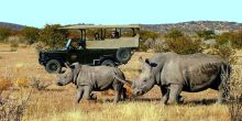 Ongava Tented Camp, Etosha National Park, Namibia