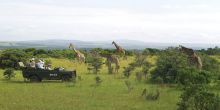 Kariega Main Lodge, Kariega Game Reserve, South Africa