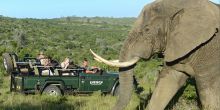 River Lodge