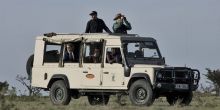Porini Lion Camp
