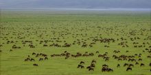 Saandani Safari Lodge, Saandani National Park, Tanzania