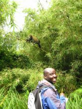 Golden Monkey Trek