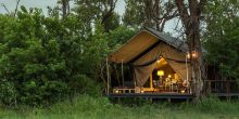 Gomoti Plains Camp