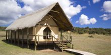 Gorah Elephant Camp, Addo Elephant National Park, South Africa