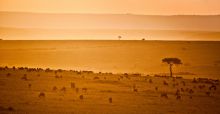 Gorgeous plains from Sala's Camp