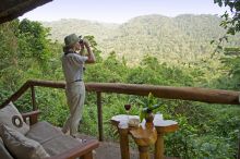 Gorilla Forest Camp, Bwindi Impenetrable Forest, Uganda