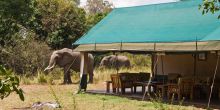 Governor's Private Camp