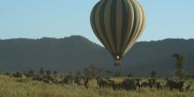 Hot Air Balloon Safari, Masai Mara National Reserve, Kenya