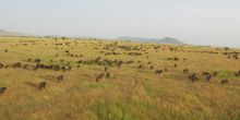 Hot Air Balloon Safari, Serengeti National Park, Tanzania