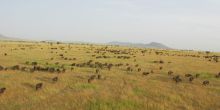 Sweeping vistas unfolding below - Grumeti Reserves Hot Air Balloon Safari Launch Site, Serengeti Grumeti Reserve, Tanzania
