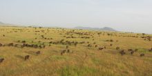 Serengeti Western Corridor Hot Air Balloon Safari Launch Site, Serengeti National Park, Tanzania