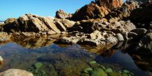 The Harkerville Hiking Trail, Garden Route, South Africa