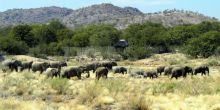 Hobatere Lodge
