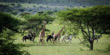 Ol Donyo Lodge, Chyulu Hills, Kenya