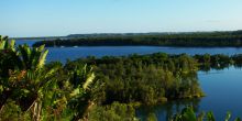 Bush House, Palmarium, Madagascar