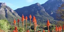 Table Mountain Hike, Cape Town, South Africa
