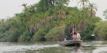 Jacana Camp