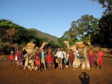 The camel entourage