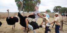 Oudtshoorn, South Africa