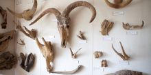 Olduvai Gorge, Tanzania