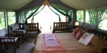 Family Tent