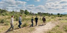Impodimo Game Lodge