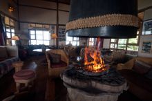 Indoor forest in lounge at Virunga Lodge, Volcanoes National Park, Uganda