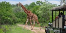Jock Safari Lodge, Kruger National Park, South Africa