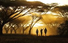 Joys Camp, Shaba National Reserve, Kenya