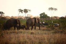 Joys Camp, Shaba National Reserve, Kenya