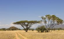 Joys Camp, Shaba National Reserve, Kenya