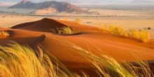 Kalahari Desert