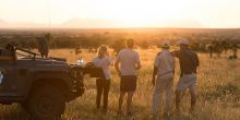 Kambaku Safari Lodge