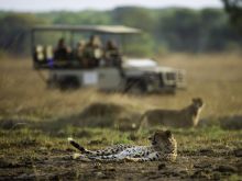 Kapinga Camp, Kafue National Park, Zambia  Â© Dana Allen