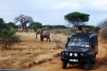 Game drive at Karen Blixen Camp, Masai Mara National Reserve, Kenya