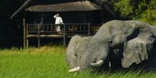Khwai River Lodge, Moremi Game Reserve, Botswana