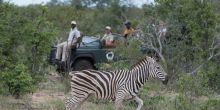Kambaku Safari Lodge