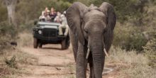 Kambaku Safari Lodge