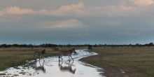Nxai Pan Camp, Nxai Pan National Park, Botswana