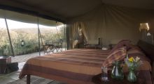 Leleshwa  Camp, Masai Mara National Reserve, Kenya