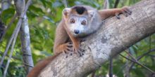 Relais de L'Ankarana, Ankarana National Park, Madagascar