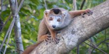 Ankarana Lodge, Ankarana National Park, Madagascar