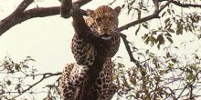 Kitich Camp, Mathews Range, Kenya