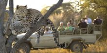 Okonjima Luxury Bush Lodge, Okonjima, Namibia