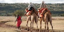 Walking Wild, Lewa Conservancy, South Africa