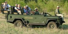 Game drive at Lion Sands River Lodge, Sabi Sands Game Reserve, South Africa