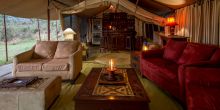 Lion Pay Camp at night