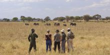 Little Oliver's Camp, Tarangire National Park, Tanzania